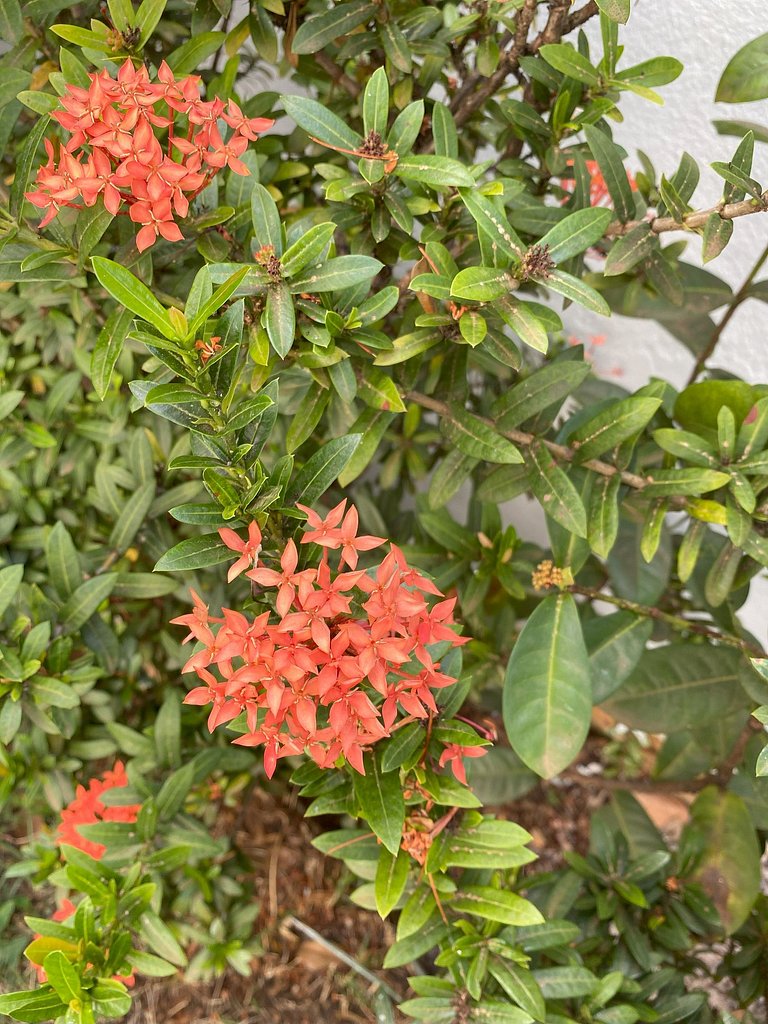 Refúgio Aconchegante em Araxá