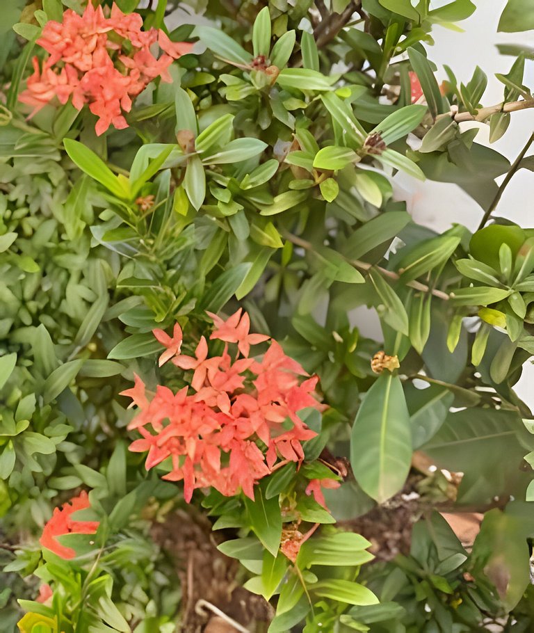 Refúgio Aconchegante em Araxá