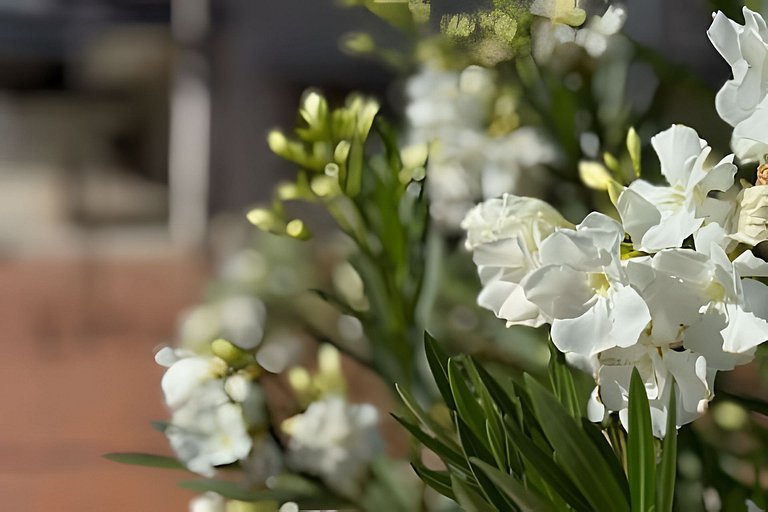 Apartamento em ótima avenida de Araxá