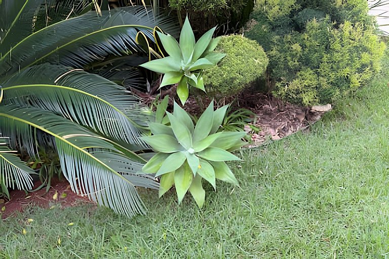 Chalé FarmHouse no centro de Araxá
